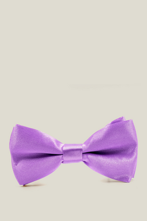 Boys Bow Tie - Purple