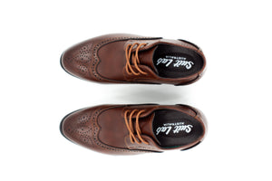 Dublin Brogue Shoes - Brown
