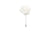 White Flower Lapel