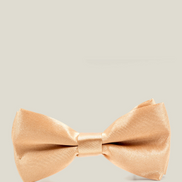 Boys' Bow Tie - Beige Gold