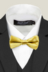 Boys' Bow Tie - Gold