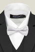 Boys' Bow Tie - Silver
