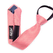 Boys' Tie - Red/White Checks