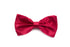 Men's Bow Tie - Candy Apple