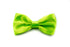 Men's Bow Tie - Lime Green