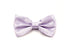 Men's Bow Tie - Periwinkle Purple