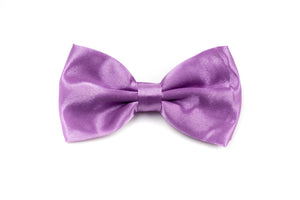 Mens Bow Tie - Purple