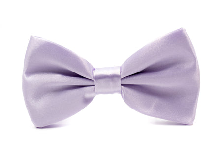Men's Bow Tie - Periwinkle Purple