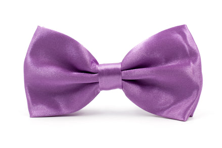 Men's Bow Tie - Purple