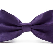 Men's Bow Tie - Eggplant
