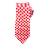 Men's Skinny Tie - Red Checks