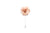 Champagne Lapel