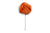 Lapel Pin -red