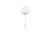 White Lapel
